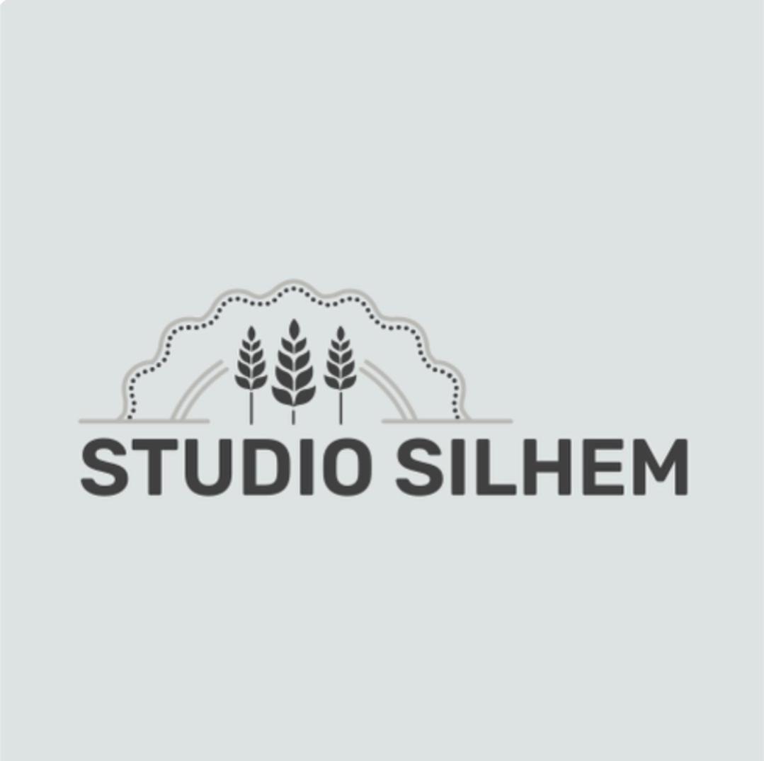 Studio Silhem 圣热尔曼莱贝莱 外观 照片